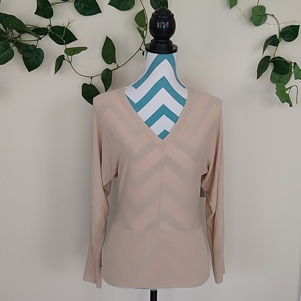 Ann Taylor LOFT Petites